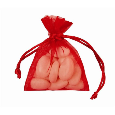 SAC ORGANZA 10 pcs