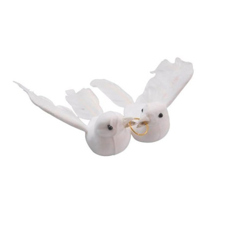 Couple de Colombes