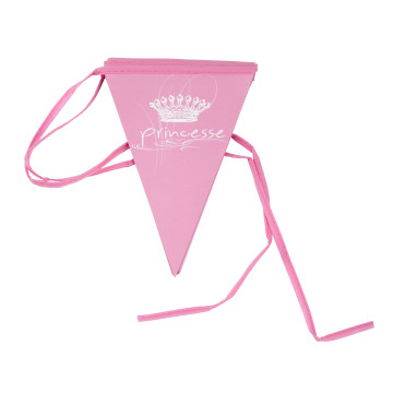 Drapeau PRINCESSE