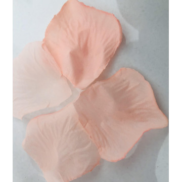 PETALES 120 pcs