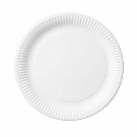 Assiette les 20 pièces - 22CM